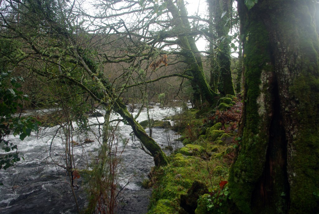 Foto de Fornelos de Montes (Pontevedra), España