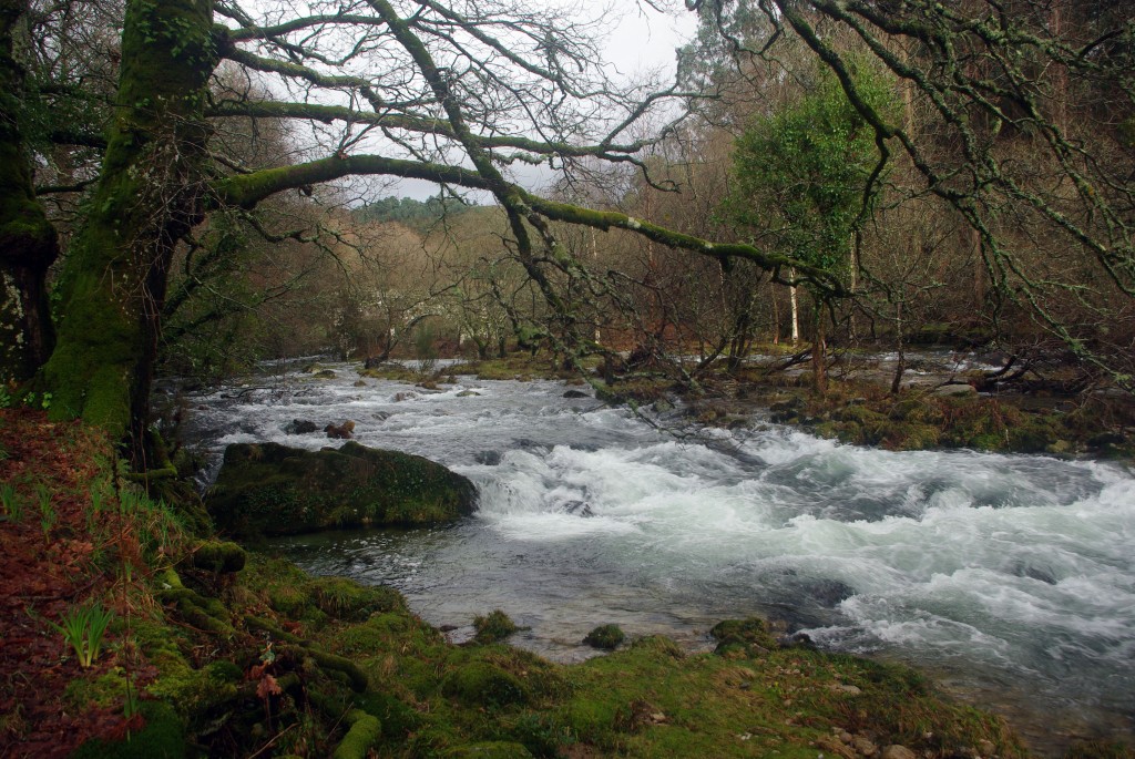 Foto de Fornelos de Montes (Pontevedra), España