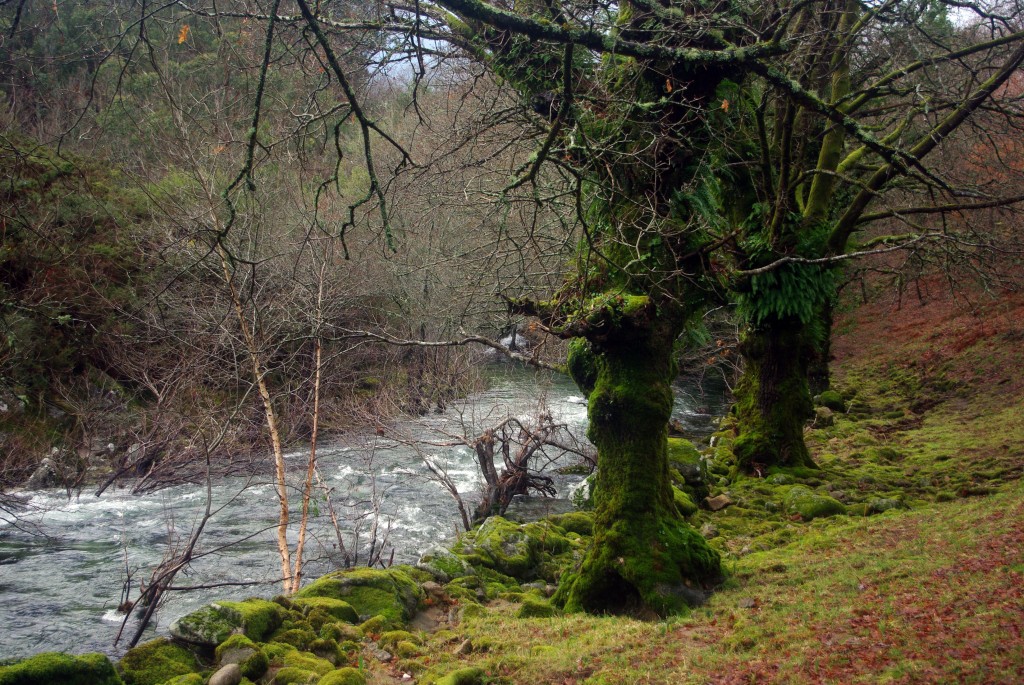 Foto de Fornelos de Montes (Pontevedra), España