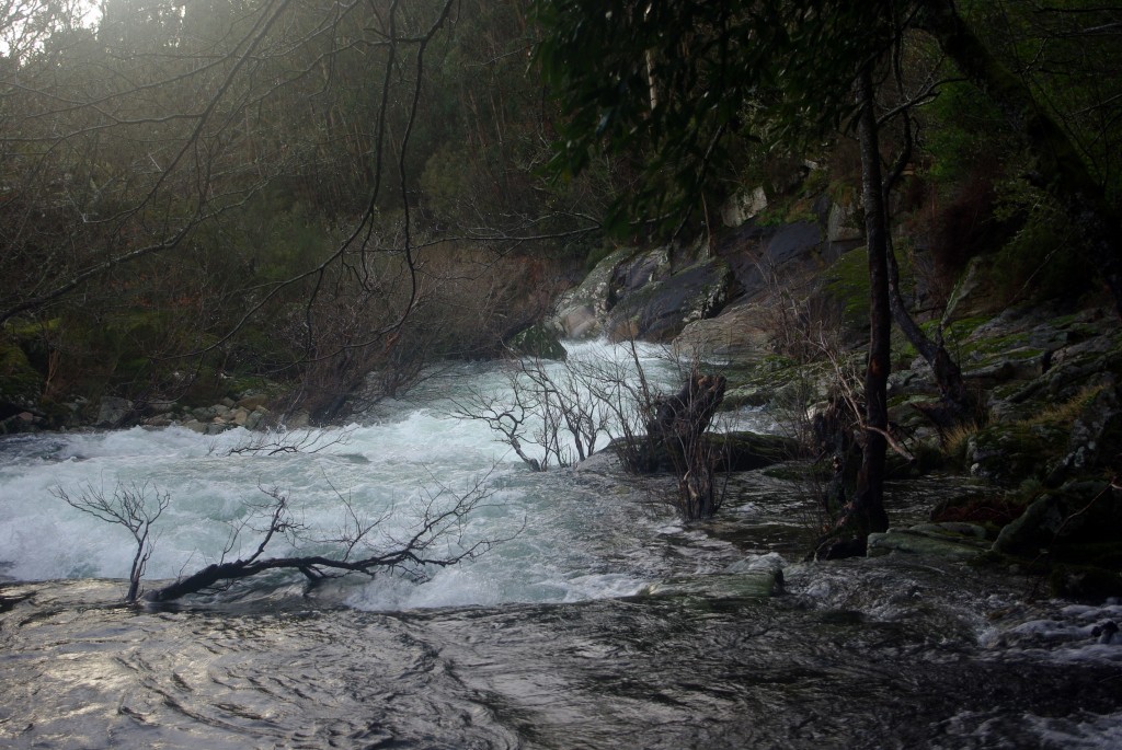 Foto de Fornelos de Montes (Pontevedra), España