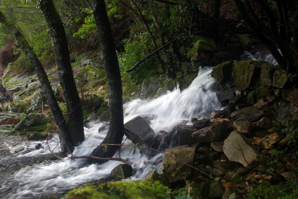Foto de Fornelos de Montes (Pontevedra), España