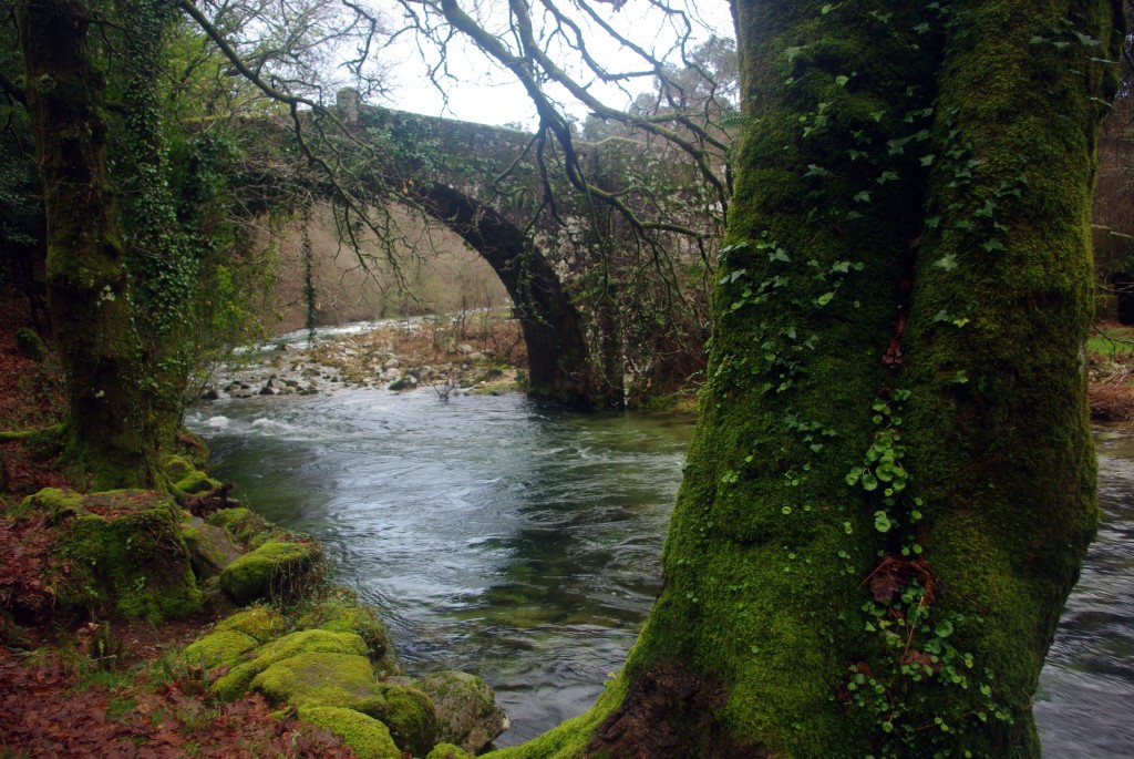 Foto de Fornelos de Montes (Pontevedra), España