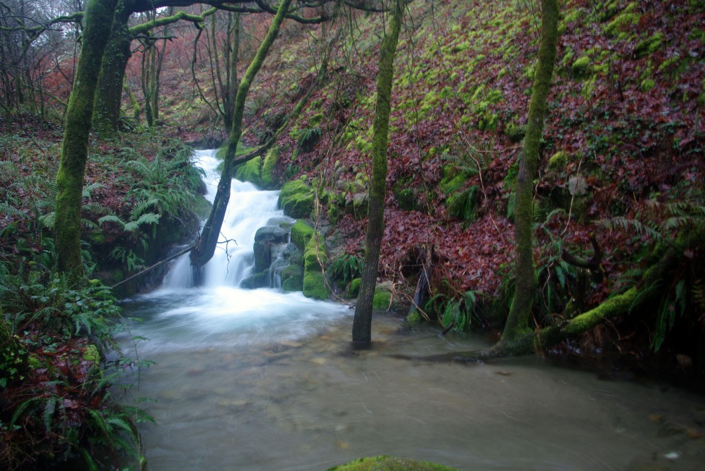 Foto de Fornelos de Montes (Pontevedra), España