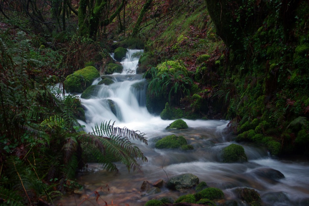 Foto de Fornelos de Montes (Pontevedra), España