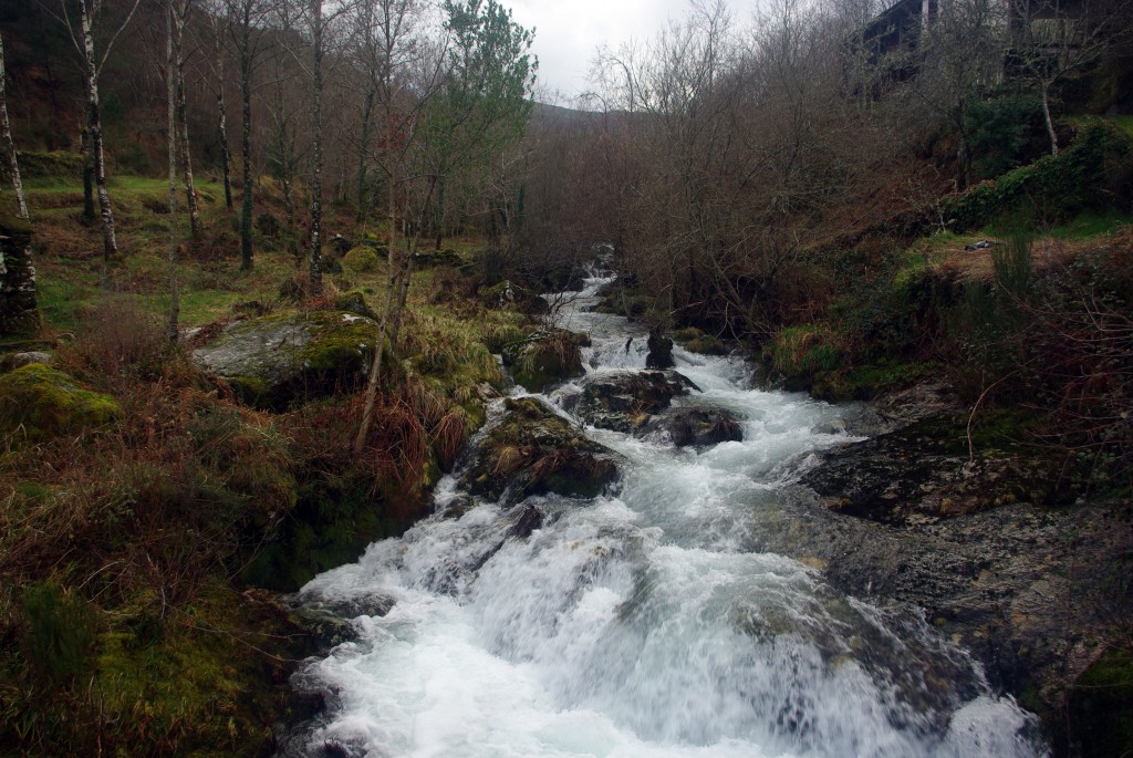 Foto de Avion (Ourense), España