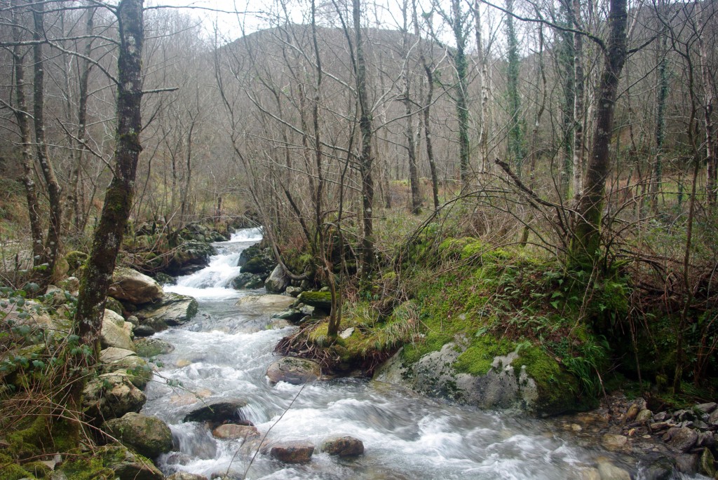 Foto de Avion (Ourense), España