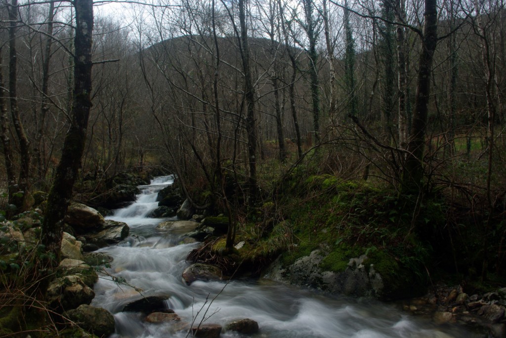 Foto de Avion (Ourense), España