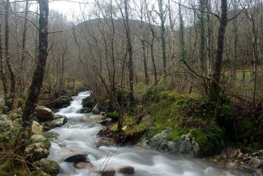 Foto de Avion (Ourense), España