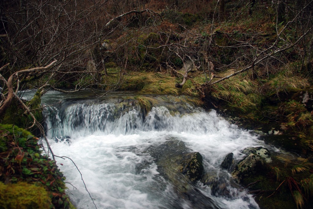 Foto de Avion (Ourense), España