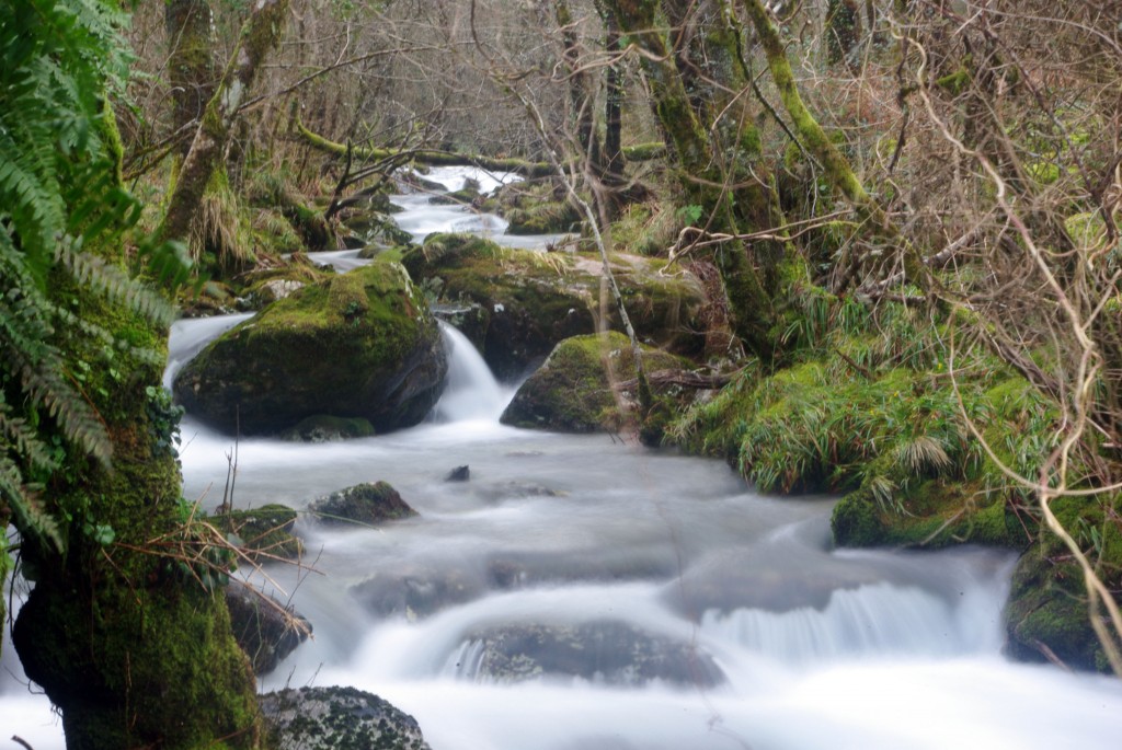 Foto de Avion (Ourense), España