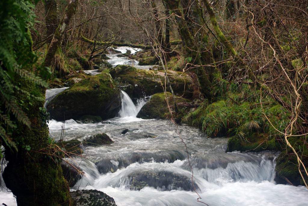Foto de Avion (Ourense), España