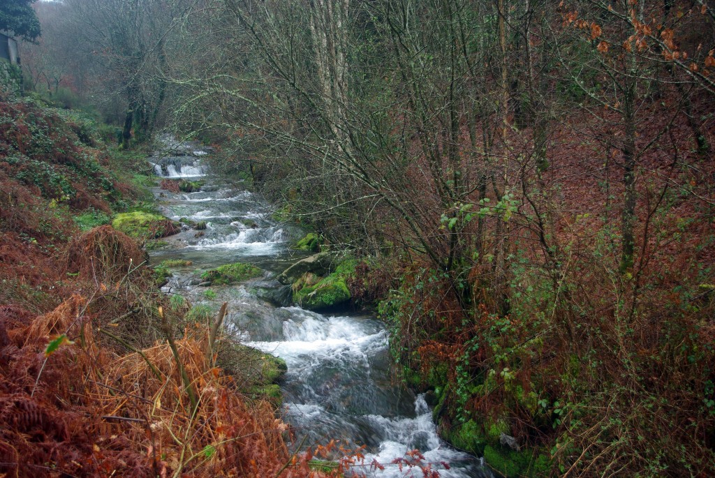 Foto de Fornelos de Montes (Pontevedra), España