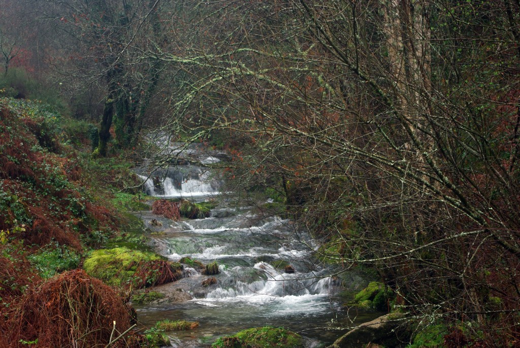 Foto de Fornelos de Montes (Pontevedra), España