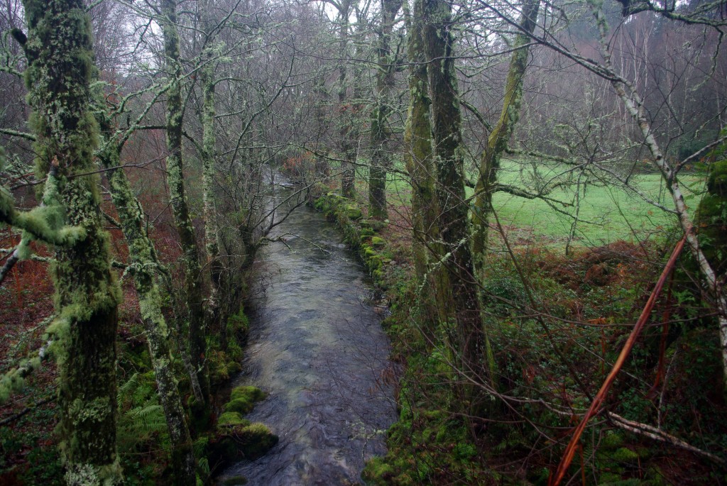 Foto de Fornelos de Montes (Pontevedra), España