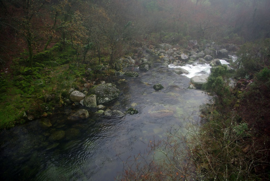 Foto de Fornelos de Montes (Pontevedra), España