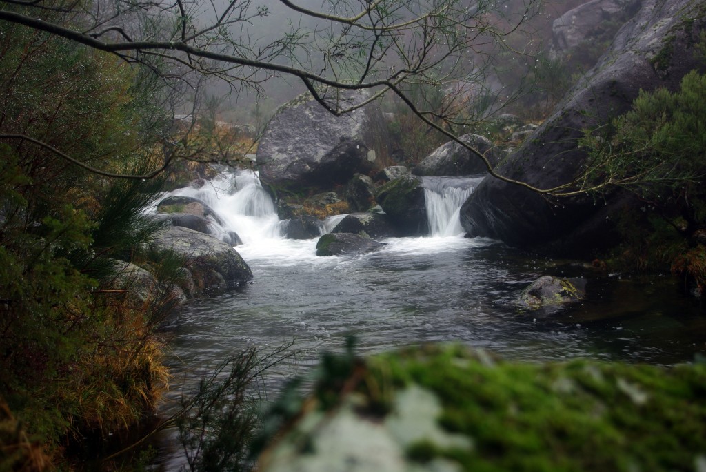 Foto de Fornelos de Montes (Pontevedra), España