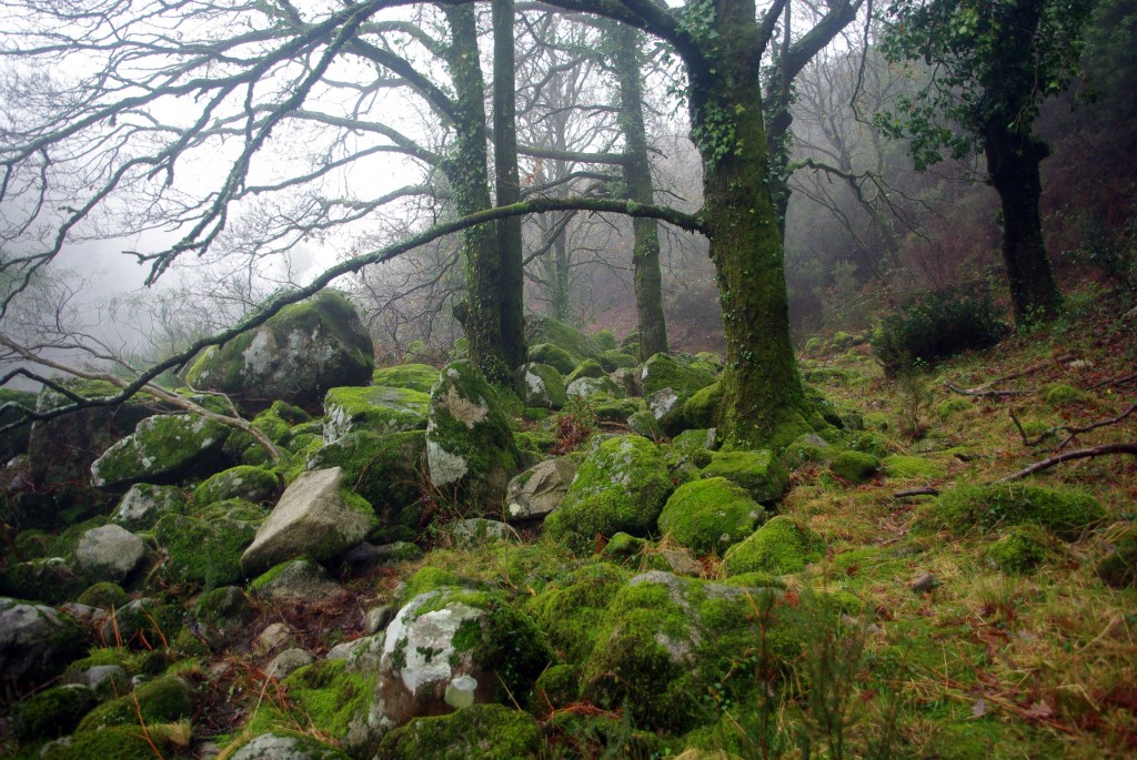 Foto de Fornelos de Montes (Pontevedra), España