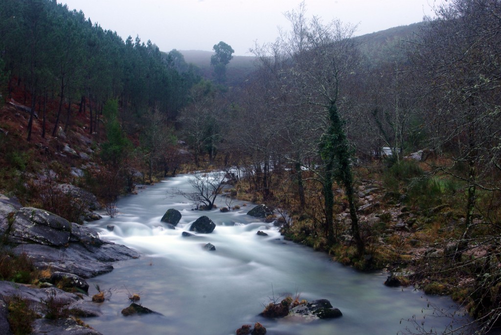 Foto de Fornelos de Montes (Pontevedra), España