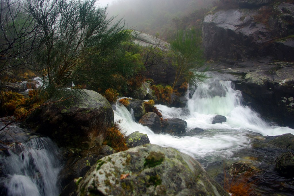 Foto de Fornelos de Montes (Pontevedra), España