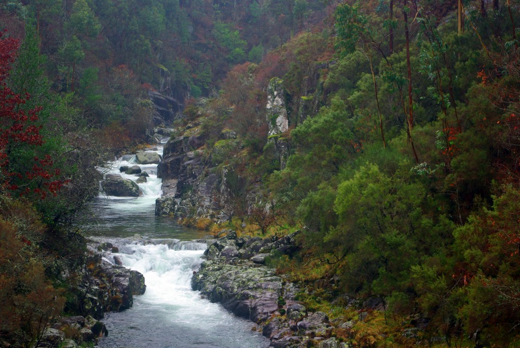 Foto de Fornelos de Montes (Pontevedra), España