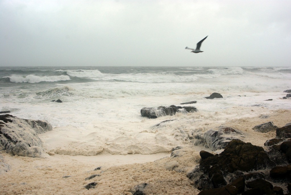 Foto de A Guarda (Pontevedra), España