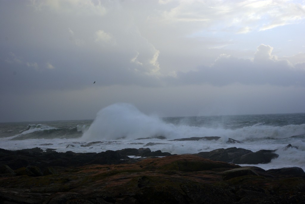Foto de Baiona (Pontevedra), España