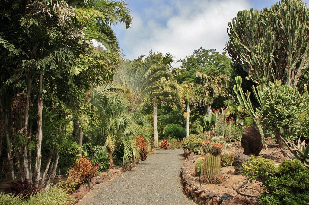 Foto: Jardín de la Marquesa - Arucas (Gran Canaria) (Las Palmas), España