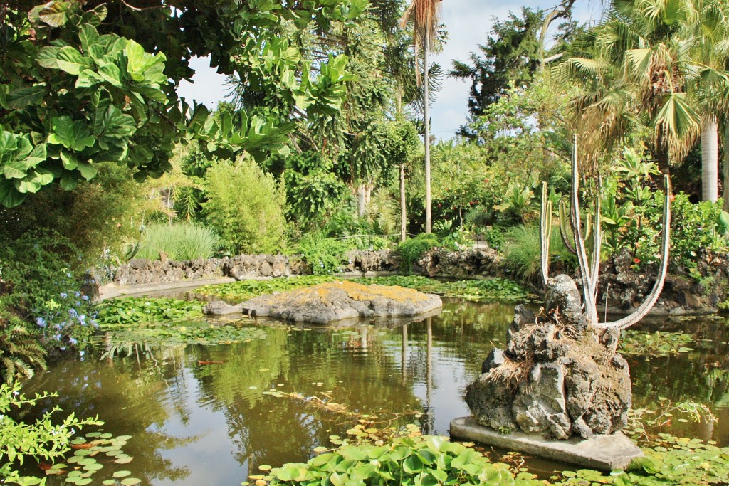 Foto: Jardín de la Marquesa - Arucas (Gran Canaria) (Las Palmas), España