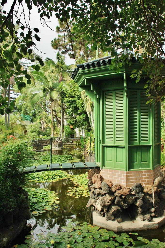 Foto: Jardín de la Marquesa - Arucas (Gran Canaria) (Las Palmas), España