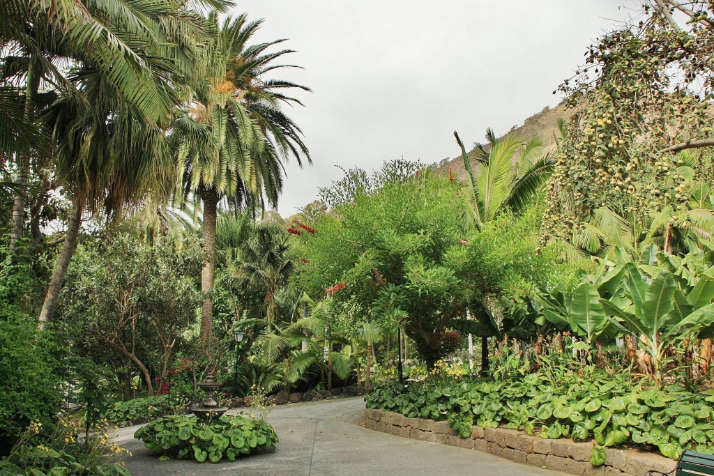 Foto: Jardín de la Marquesa - Arucas (Gran Canaria) (Las Palmas), España