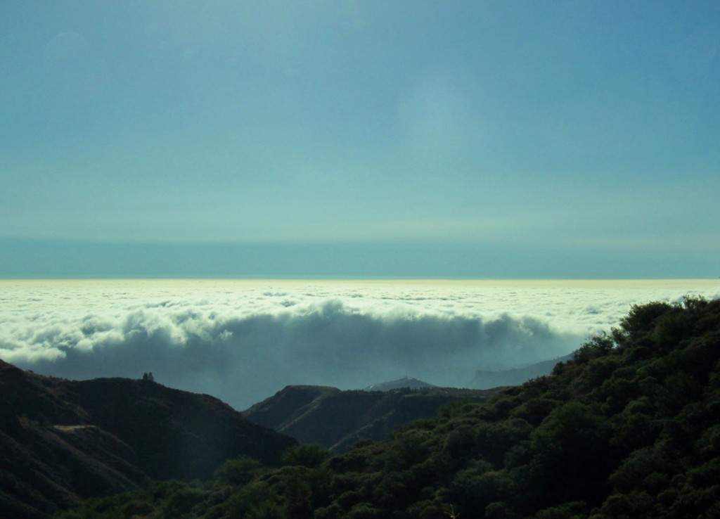 Foto: Paisaje - Arucas (Gran Canaria) (Las Palmas), España