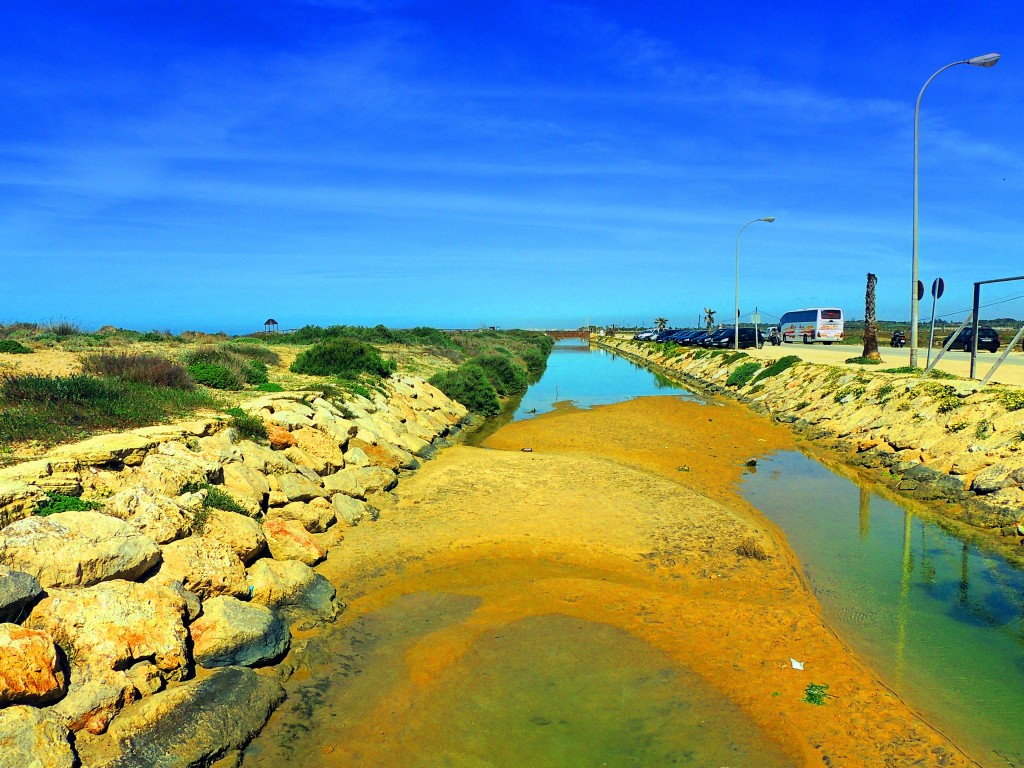Foto: Camposoto - San Fernando (Cádiz), España