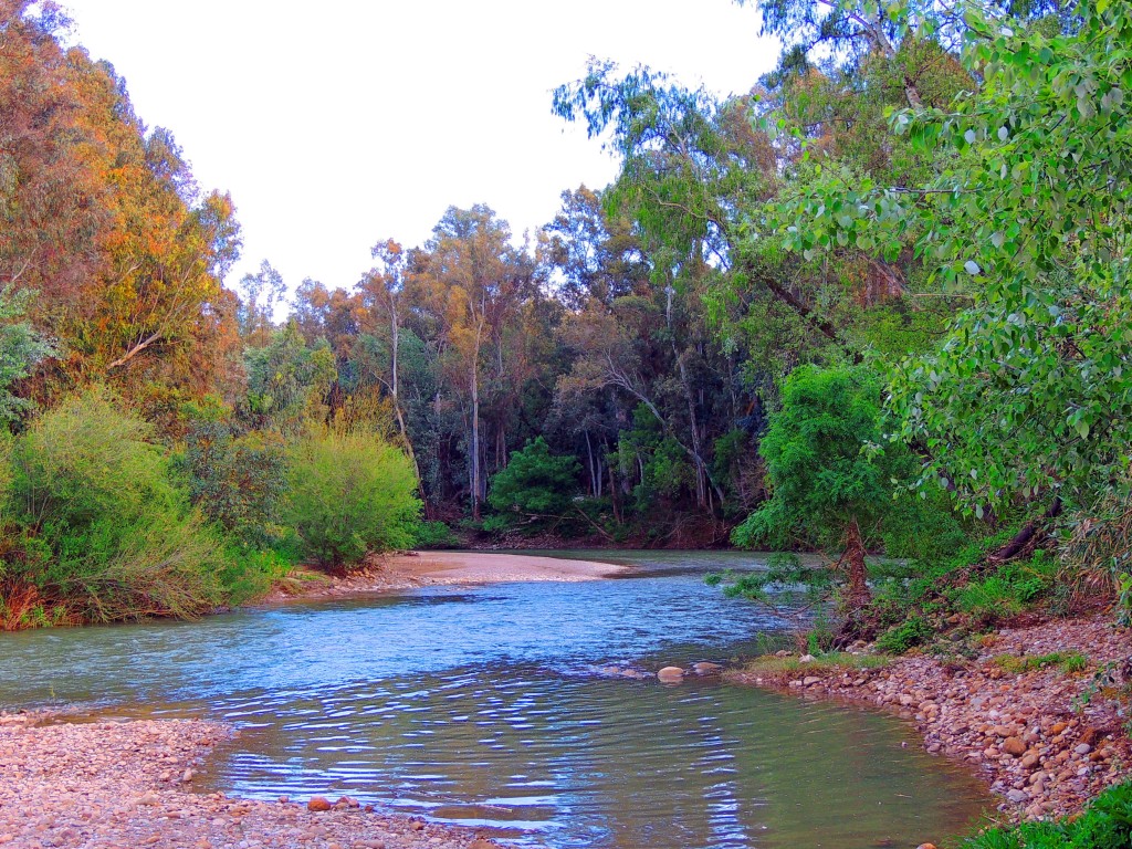 Foto: Río Guadiaro - San Pablo de Buceite (Cádiz), España