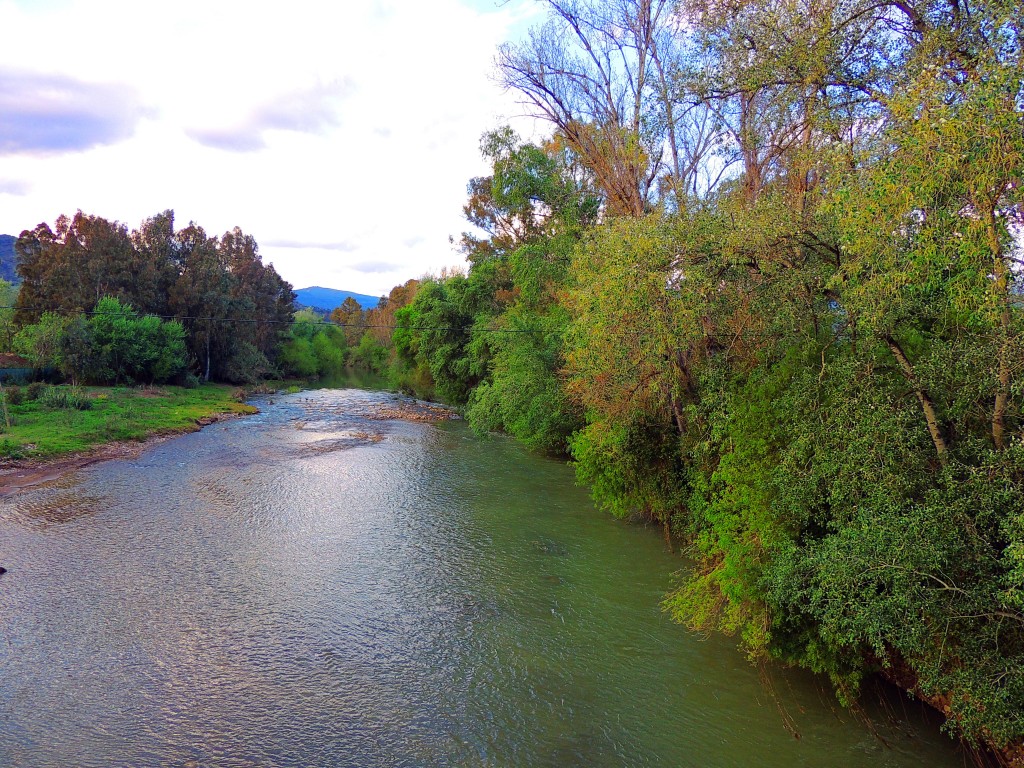 Foto: Río Guadiaro - San Pablo de Buceite (Cádiz), España