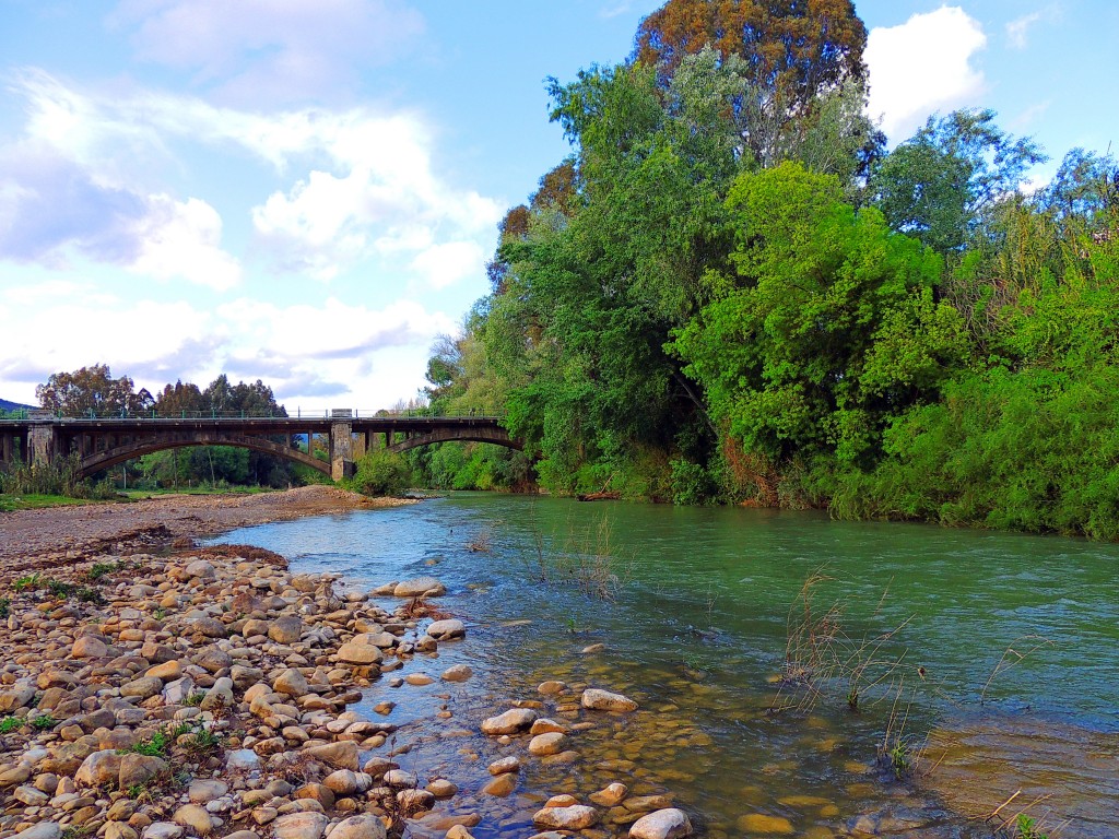 Foto: Río Guadiaro - San Pablo de Buceite (Cádiz), España