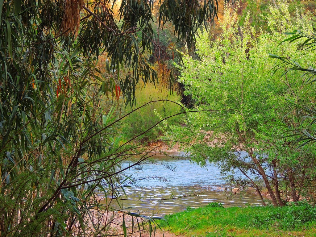 Foto: Río Guadiaro - San Pablo de Buceite (Cádiz), España