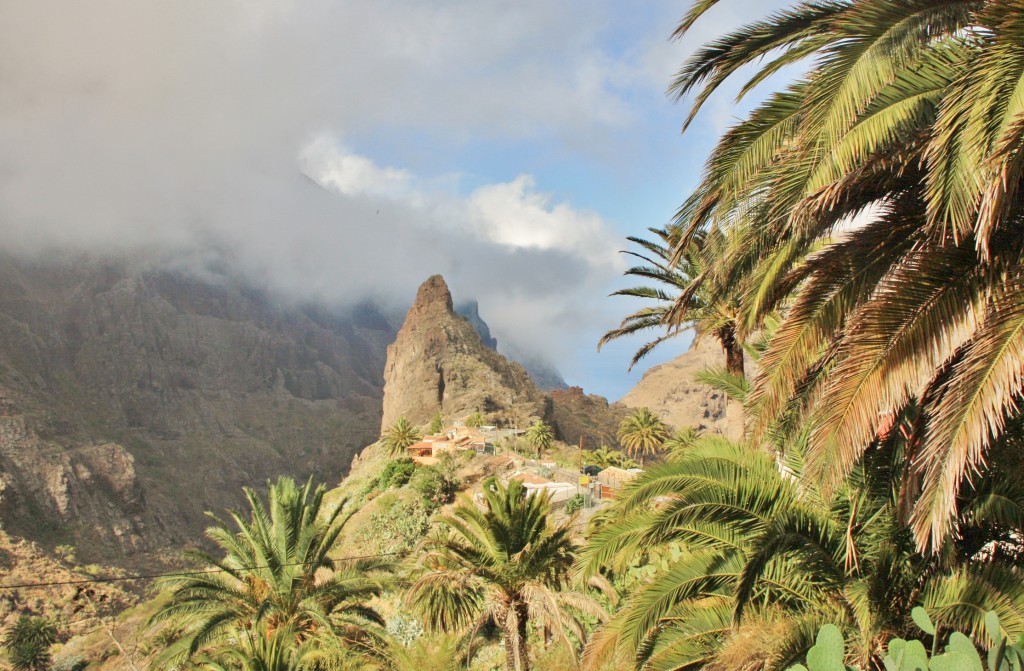 Foto: Paisaje - Masca (Santa Cruz de Tenerife), España