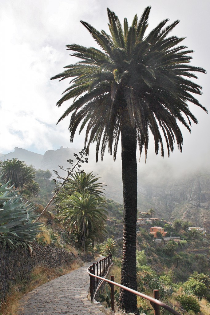 Foto: Paisaje - Masca (Santa Cruz de Tenerife), España