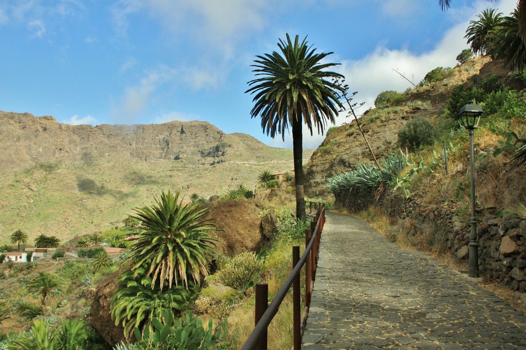 Foto: Paisaje - Masca (Santa Cruz de Tenerife), España