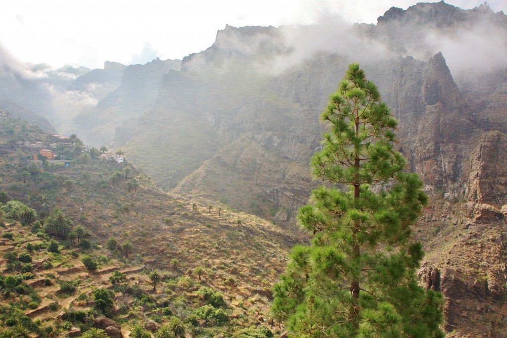 Foto: Paisaje - Masca (Santa Cruz de Tenerife), España