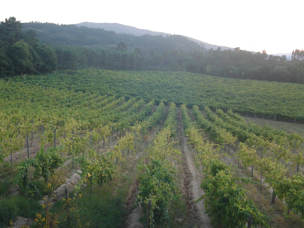 Foto de Monçao (Viana do Castelo), Portugal