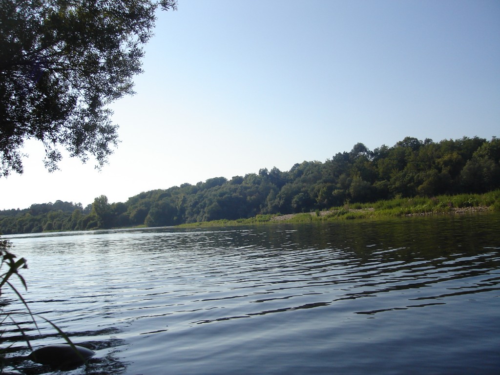 Foto de As Neves (Pontevedra), España
