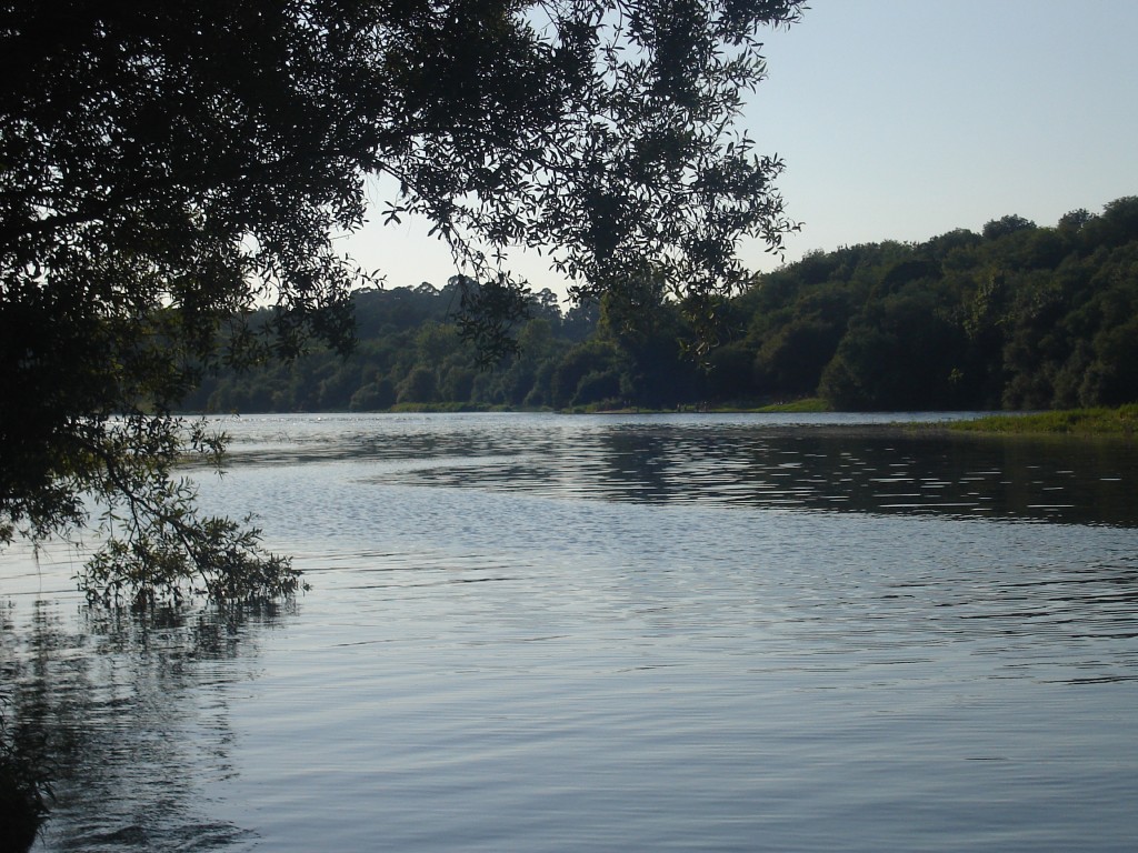 Foto de As Neves (Pontevedra), España