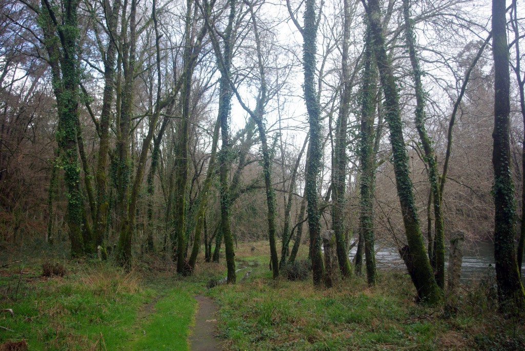 Foto de Ponteareas (Pontevedra), España