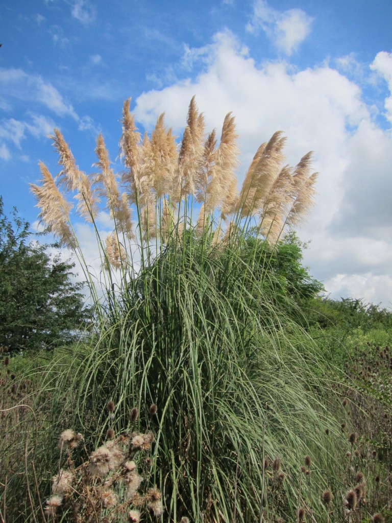 Foto: Museo Histórico Provincial Guillermo Enrique Hudson y Parque Ecológico Cultural. - Hudson (Buenos Aires), Argentina