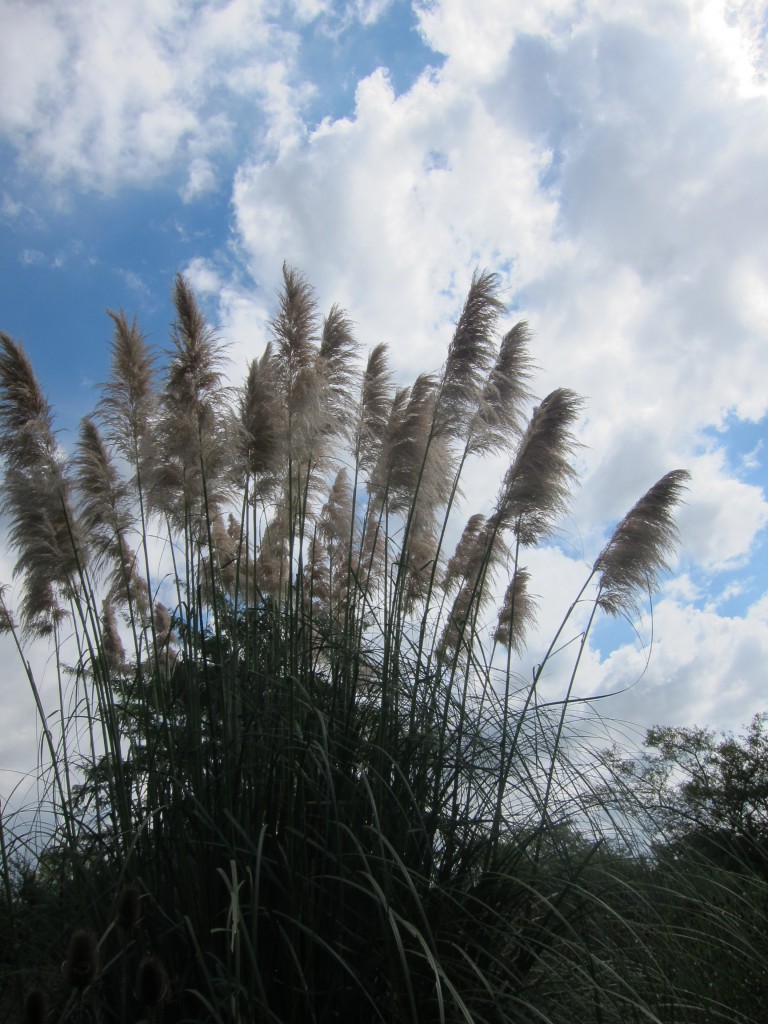Foto: Museo Histórico Provincial Guillermo Enrique Hudson y Parque Ecológico Cultural. - Hudson (Buenos Aires), Argentina