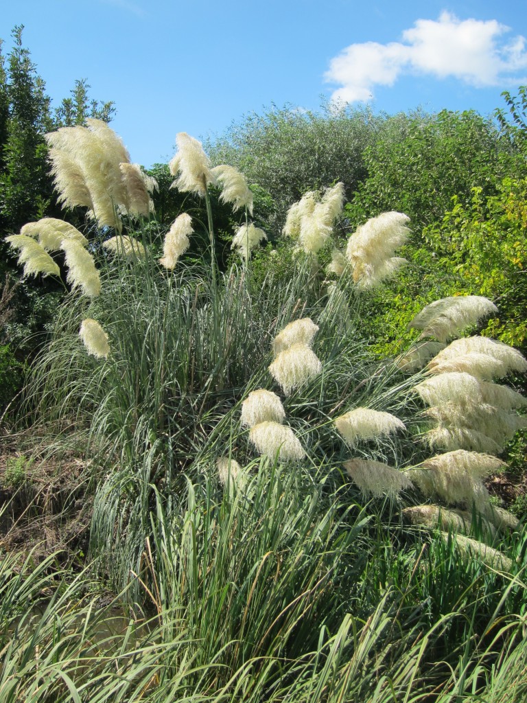 Foto: MuMuseo Histórico Provincial Guillermo Enrique Hudson y Parque Ecológico Cultural.seo Histórico Provincial Guillermo Enrique Hudson y Parque Ecológico Cultural. - Hudson (Buenos Aires), Argentina