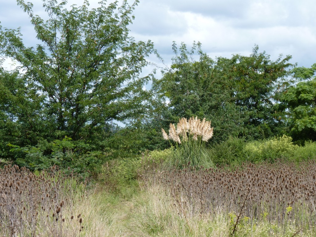 Foto: Museo Histórico Provincial Guillermo Enrique Hudson y Parque Ecológico Cultural. - Hudson (Buenos Aires), Argentina