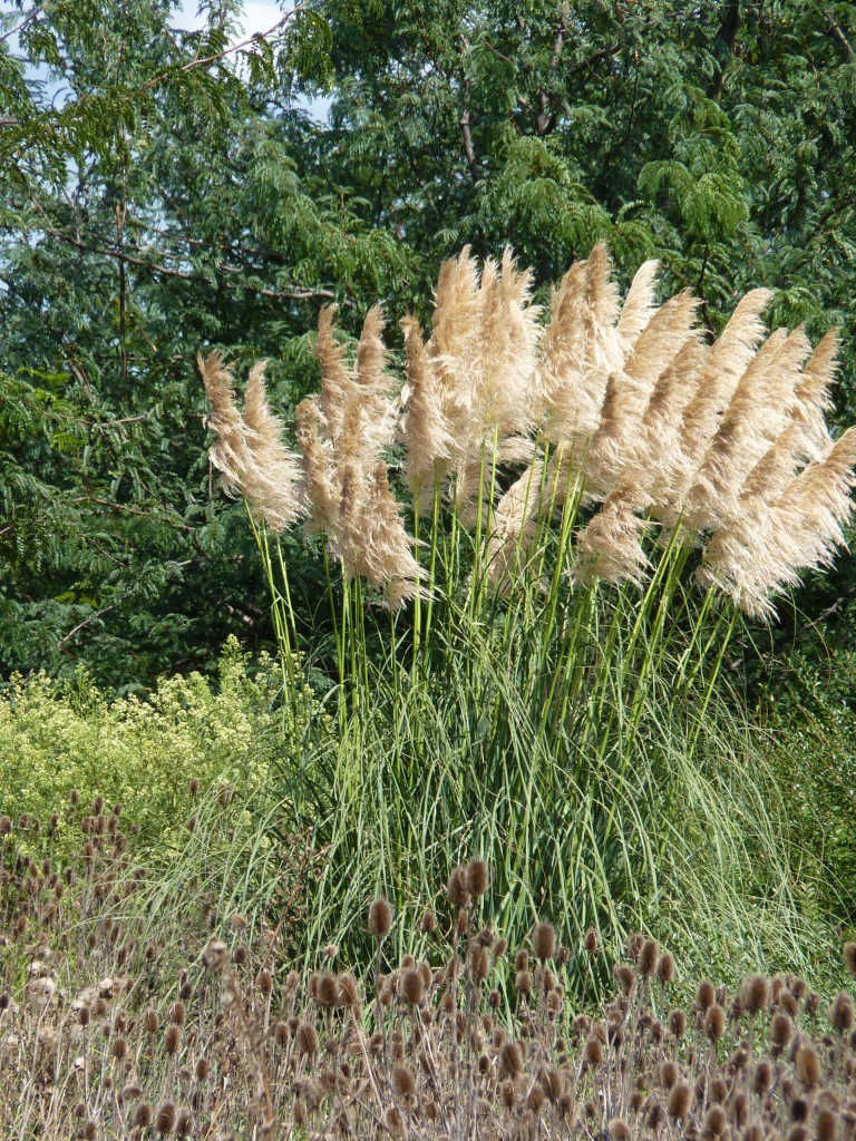 Foto: Museo Histórico Provincial Guillermo Enrique Hudson y Parque Ecológico Cultural. - Hudson (Buenos Aires), Argentina