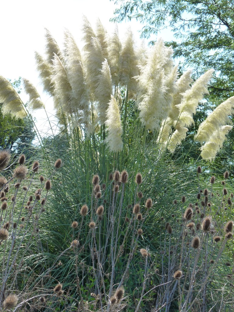 Foto: Museo Histórico Provincial Guillermo Enrique Hudson y Parque Ecológico Cultural. - Hudson (Buenos Aires), Argentina